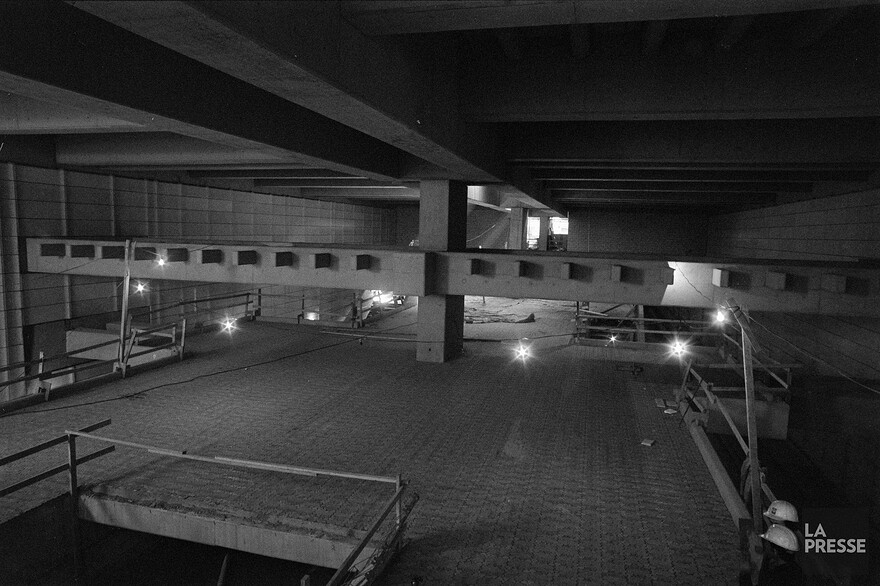 06M_P833S5D1977-0140_0010