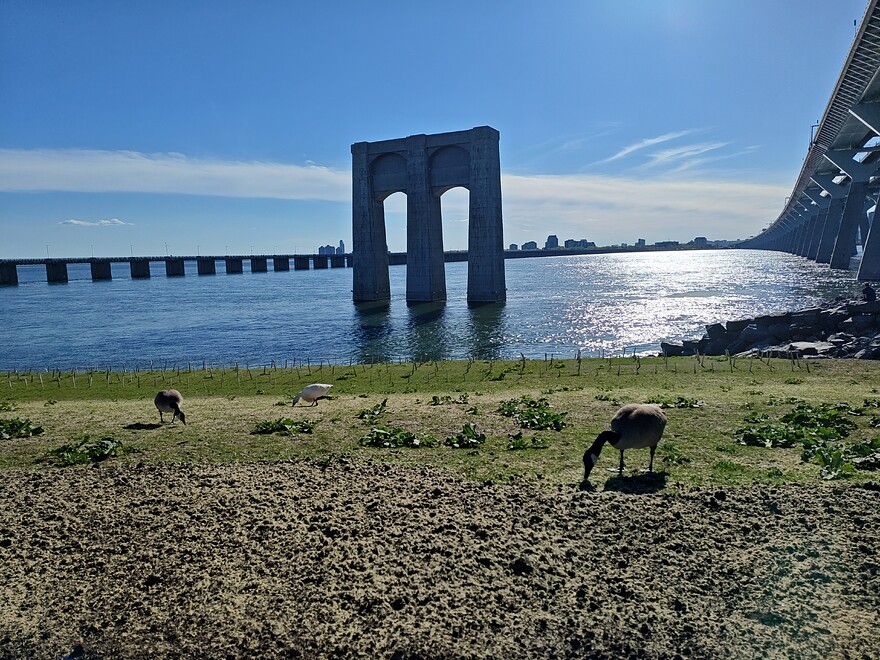 IMG_20260517_173215473_HDR