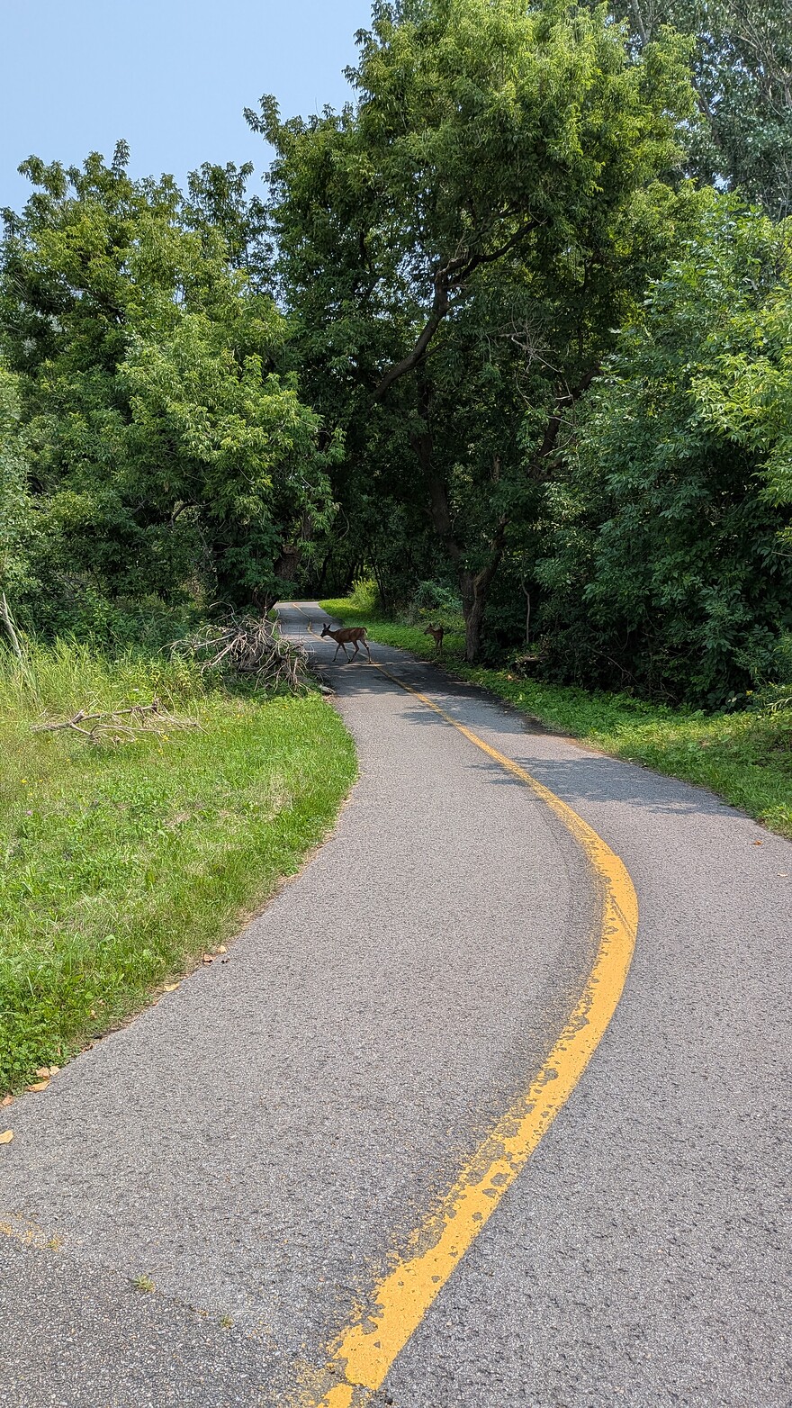 PXL_20260809_172215685