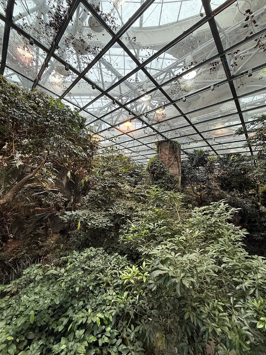 IMG_4006