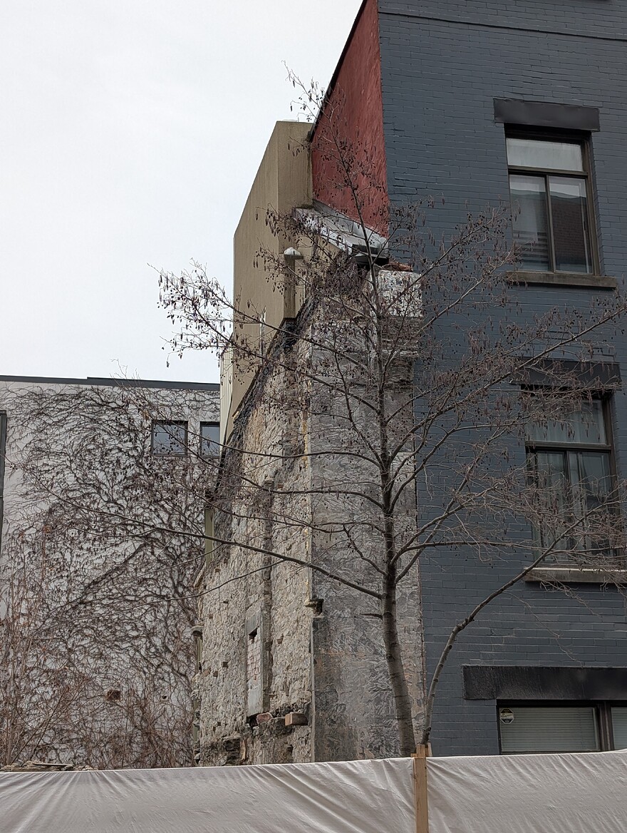 PXL_20260220_195042643