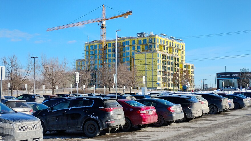 IMG_20260205_1322433402