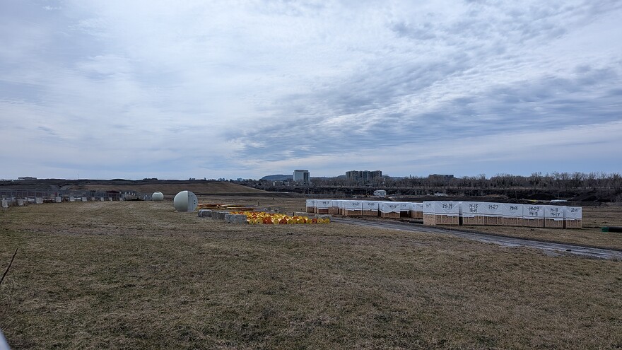 PXL_20260412_153532007