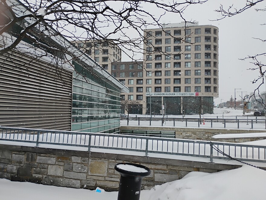 IMG_20260225_122000596