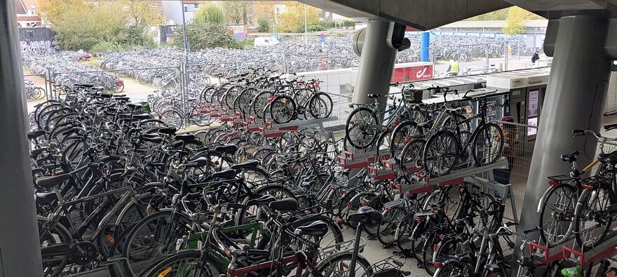 Screenshot_20251201_042330_Photos