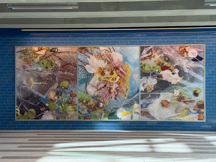 REM Ste-Dorothée 2025-12-18 Filets