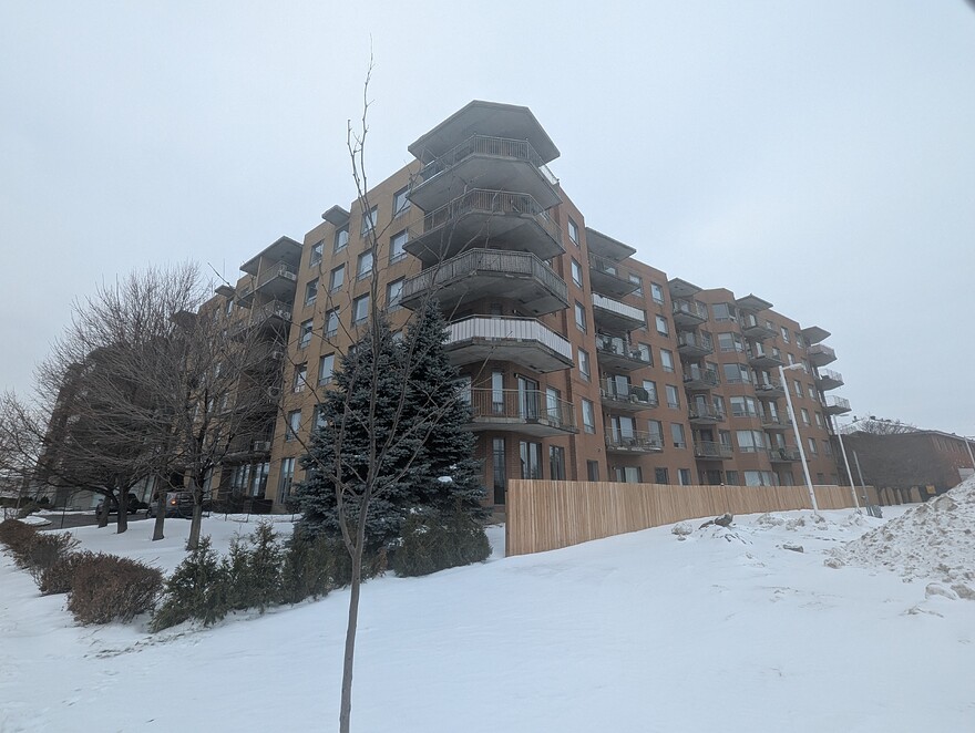 PXL_20260108_183615628