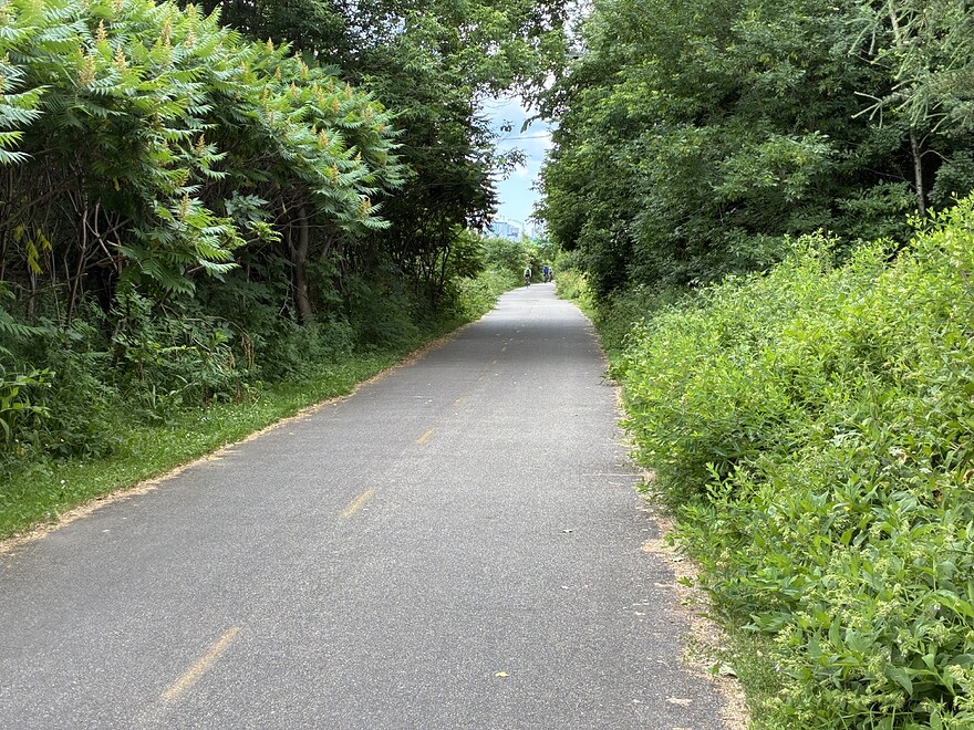 Beaucoup de verdure en chemin