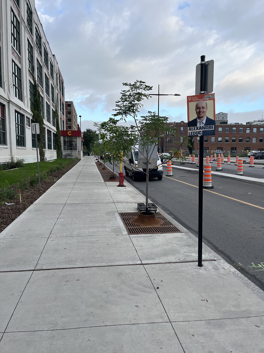 IMG_5922