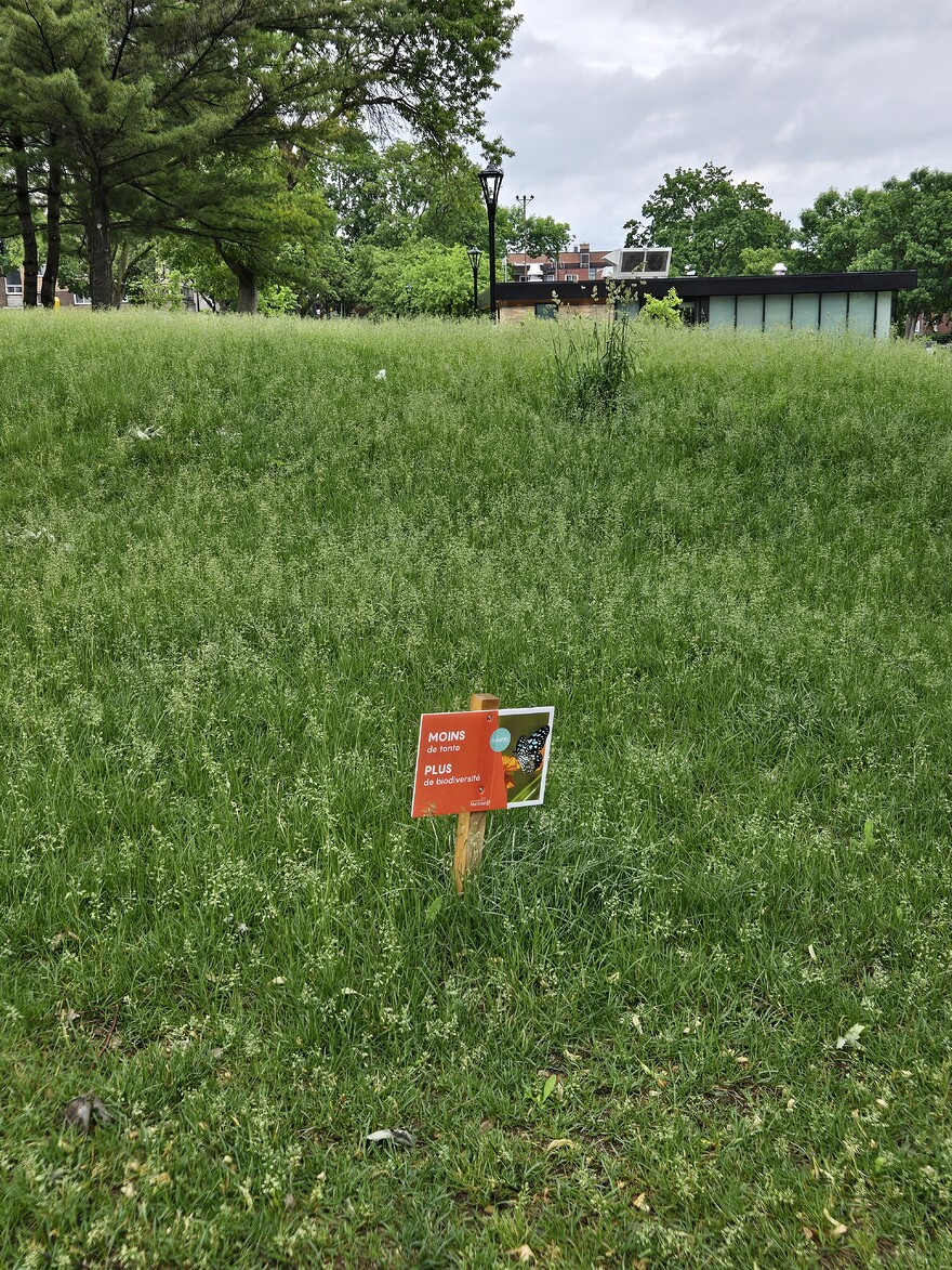 20260614_161636