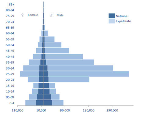 The-Population-Pyramid-of-Dubai-City