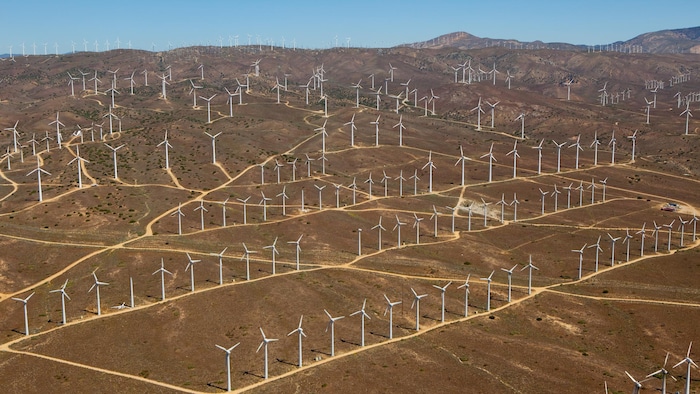 Le parc éolien Alta Wind Energy Center, dans le désert, en Californie, compte 600 petites éoliennes, d'une capacité moyenne de 2 MW.