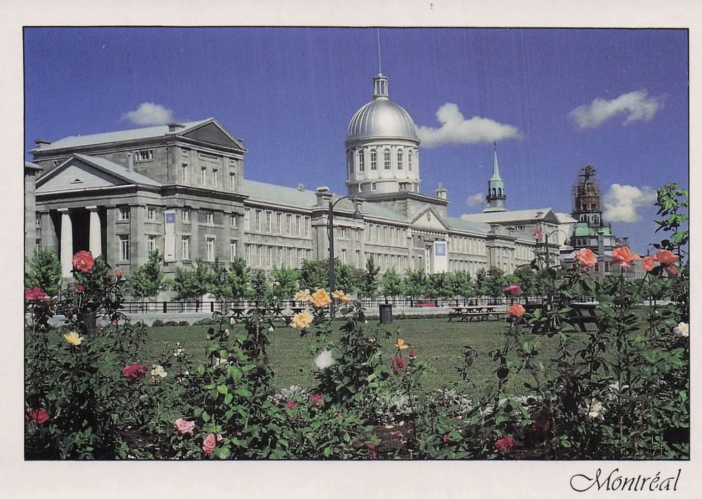 FB_IMG_1757646288982