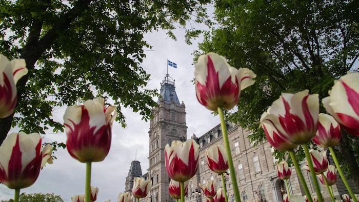 L'hôtel du Parlement du Québec, où siègent les députés de l'Assemblée nationale, aperçu au loin à travers des fleurs.