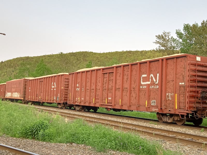 Les wagons de copeaux portant encore le logo du CN ont refait leur apparition en Gaspésie au cours des dernières semaines, comme ici à Matapédia.