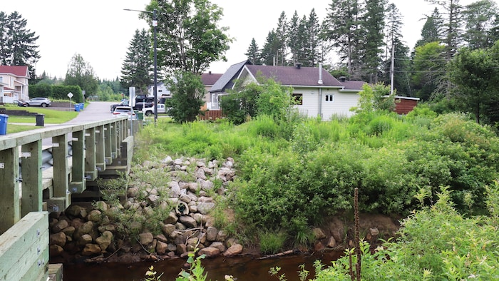 La berge d'une rivière.