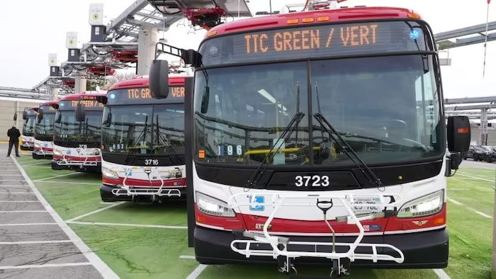 Des bus électriques de la CTT garés sur un stationnement.