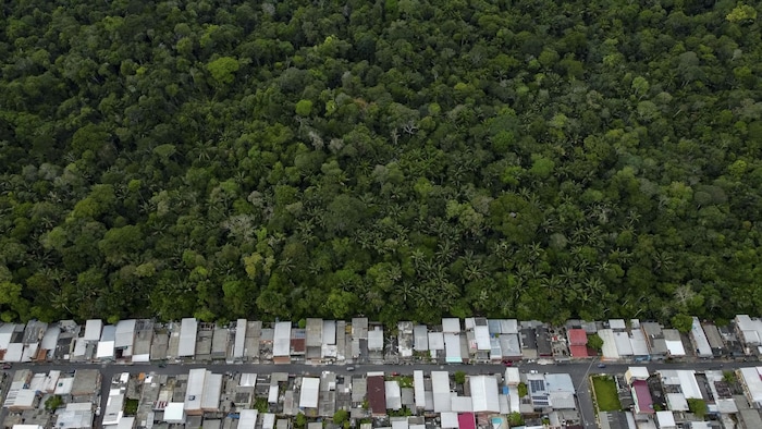 Une vue aérienne de la forêt amazonienne qui longe le quartier Coroado, dans la zone est de Manaus, au Brésil.