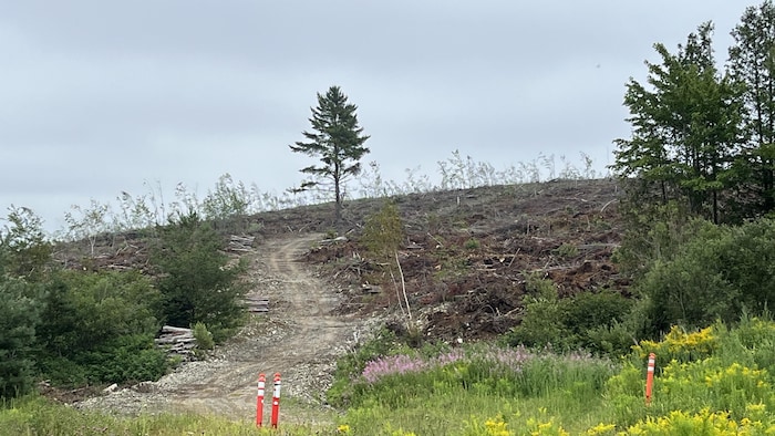 Une butte rasée.