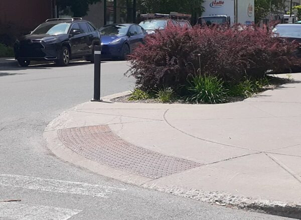 Selon une citoyenne, ces arbustes cachent la vue des automobilistes qui voudraient traverser la rue Fleury Ouest à l’intersection de la rue Clark. (Photo prise le 16 juin 2025 : Philippe Rachiele, JDV)