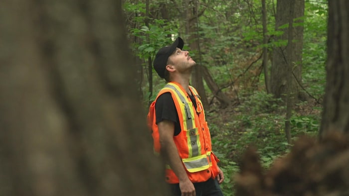 Un homme dans une forêt.