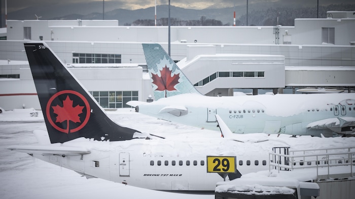 Des avions d'Air Canada enneignés à l'aéroport international de Vancouver.