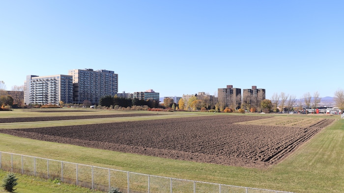 terrains universite laval ferme campus quatre-bourgeois