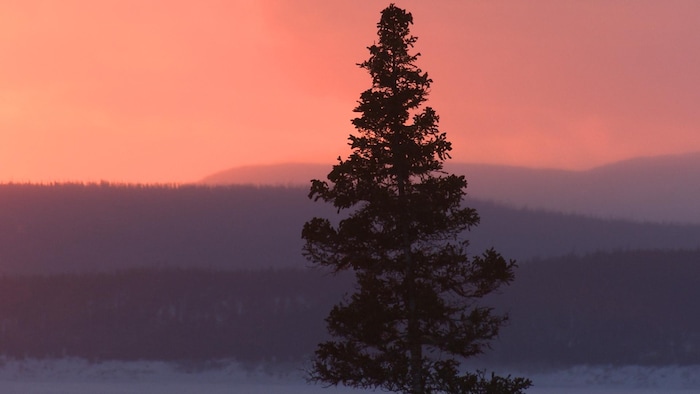 Paysage des monts Groulx.