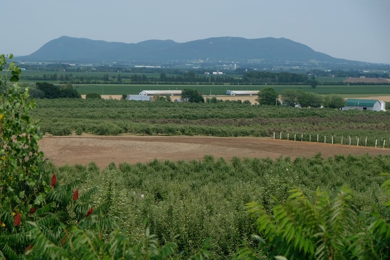 Des roches pouvant produire naturellement de l’hydrogène ont notamment été identifiées dans les collines montérégiennes.|800x0