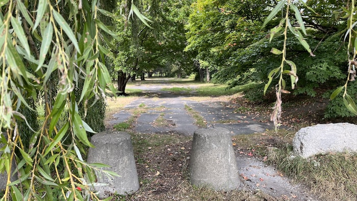 L'entrée d'un parc qui donne sur un chemin bordé d'arbres.