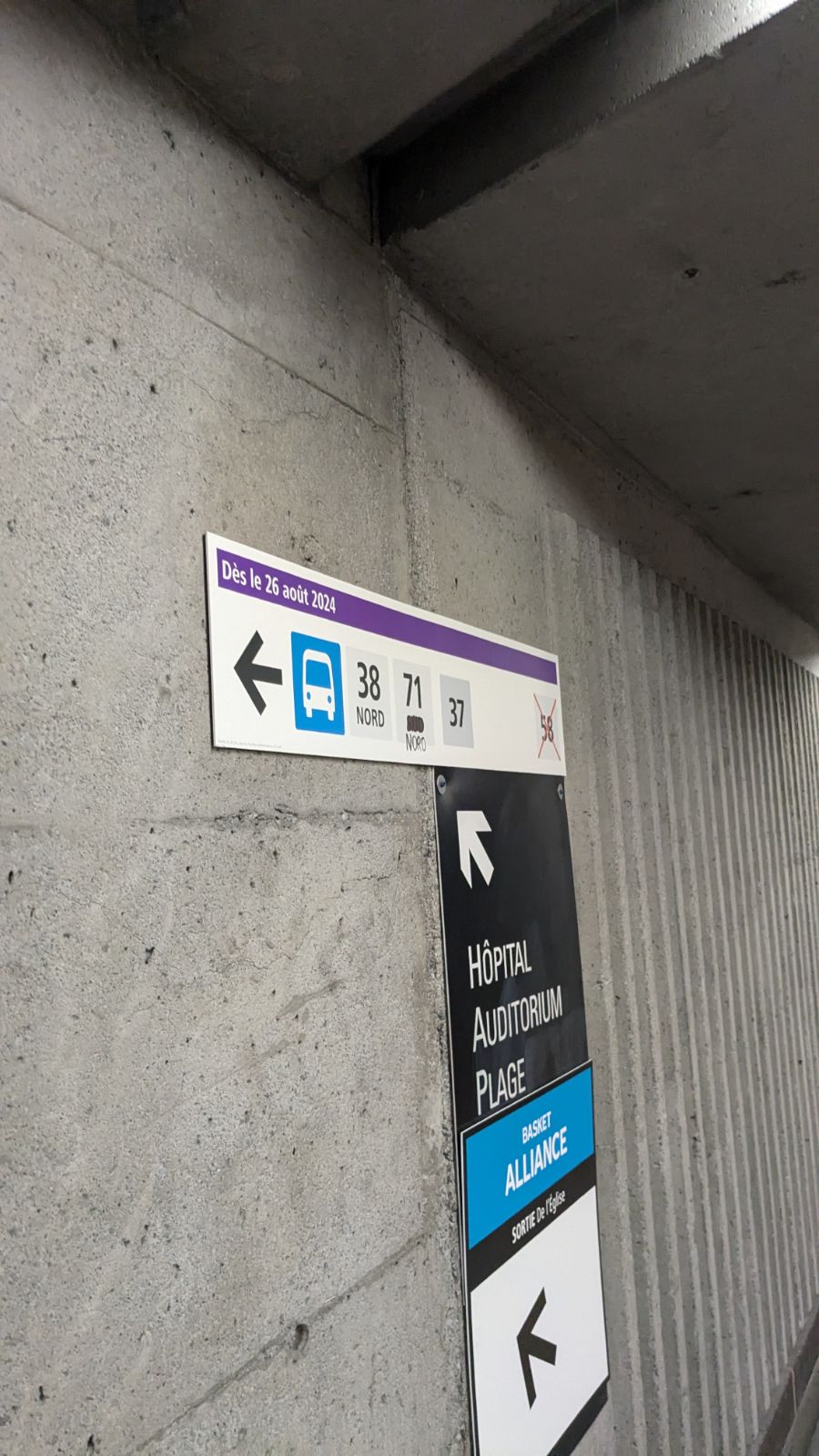 7033362645909382991