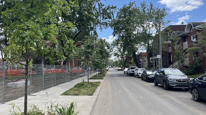 La rue Boileau est bordée d'arbres.