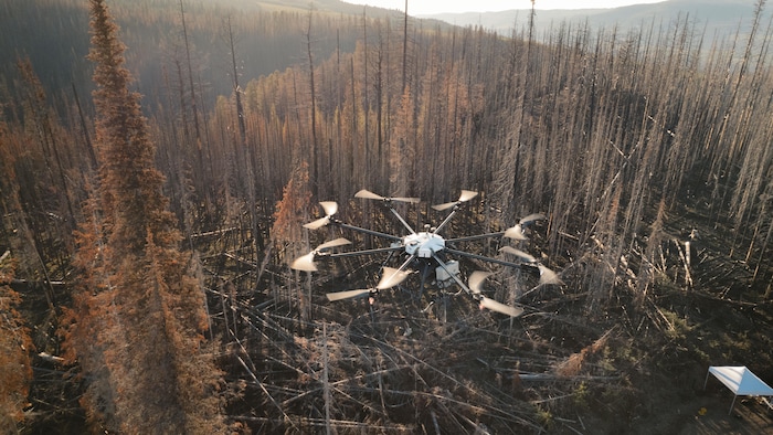 Un drone de Flash Forest survole une forêt brûlée dans l'ouest.