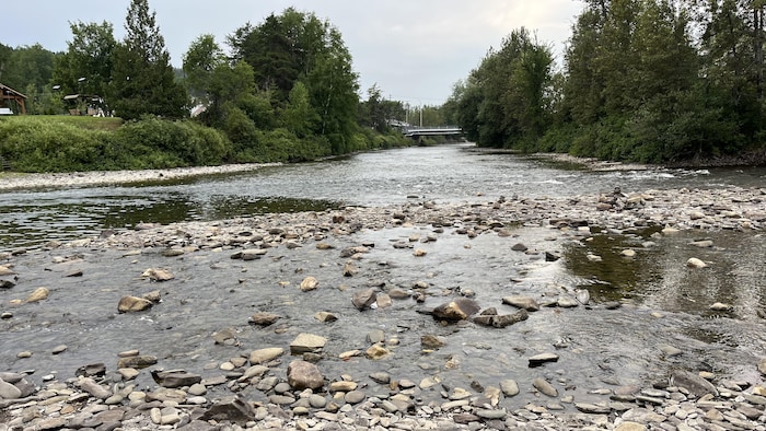 Un plan d'eau bas avec beaucoup de cailloux.