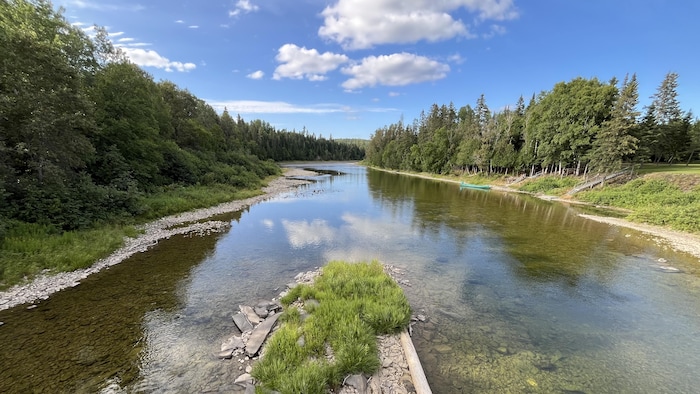 Une rivière avec un fond rocailleux très clair.