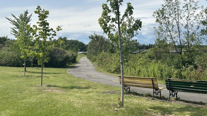 Une piste cyclable.