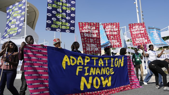 Des militants participent à une manifestation lors du sommet climatique de l'ONU COP28, en décembre 2023, à Dubaï, aux Émirats arabes unis.