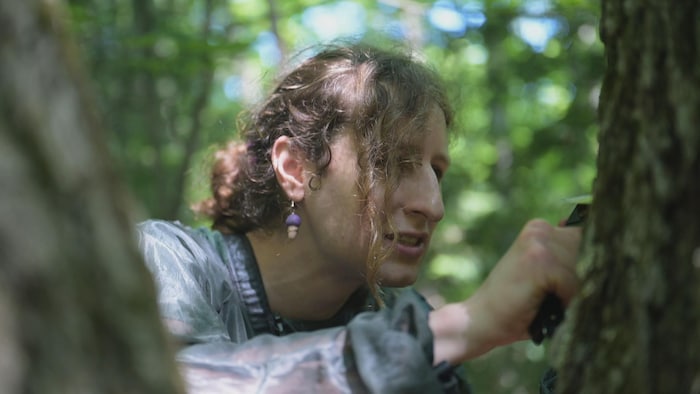 Une femme examine l'écorce d'un arbre.