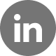 LinkedIn icon24x24