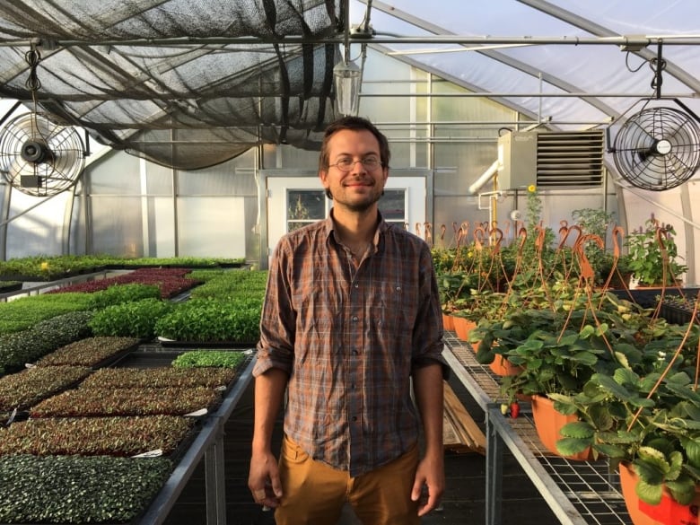 A man stands in a greenhouse