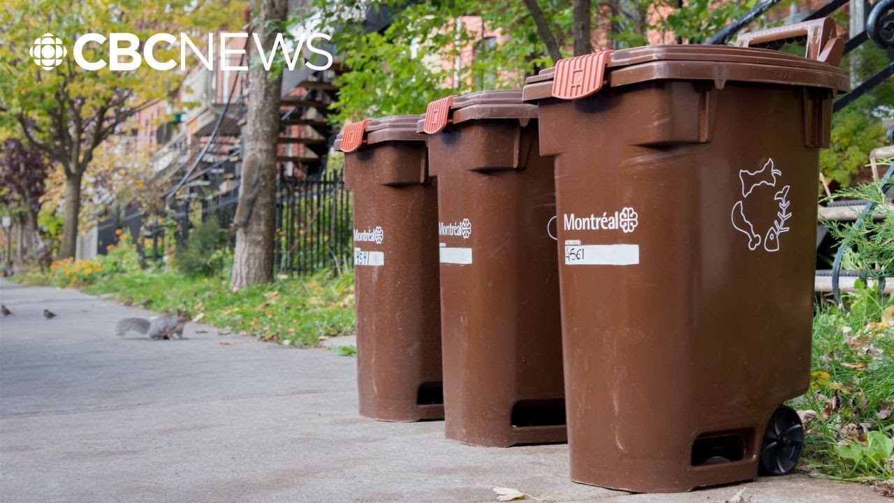 Are Montrealers actually using their compost bins?