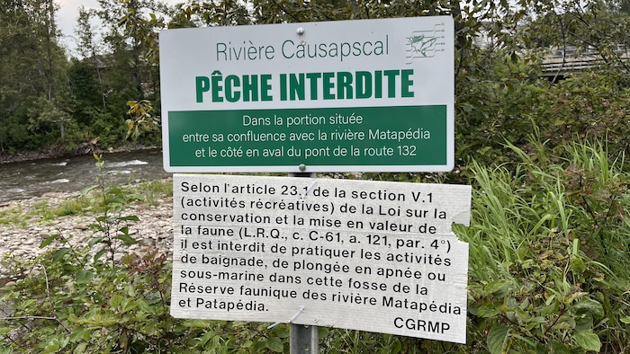 Un panneau sur lequel est écrit pêche interdite.