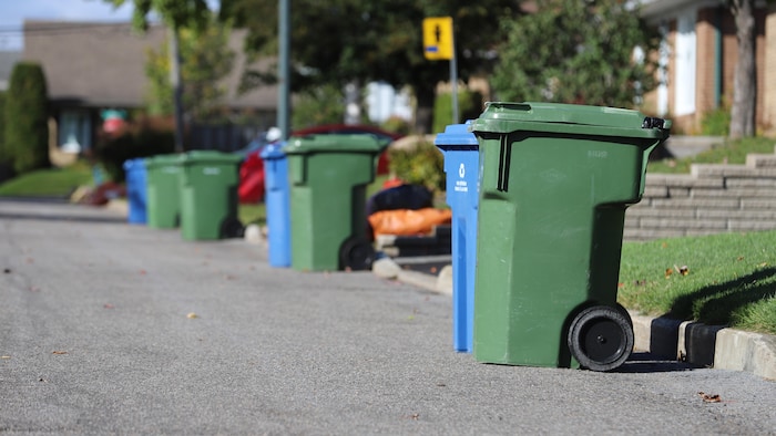 Des bacs roulants verts et bleus en bordure d’une rue résidentielle de Québec en automne.