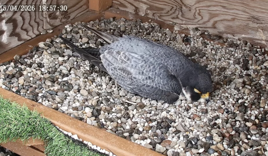 Capture d’écran, le 2026-04-15 à 18.57.23