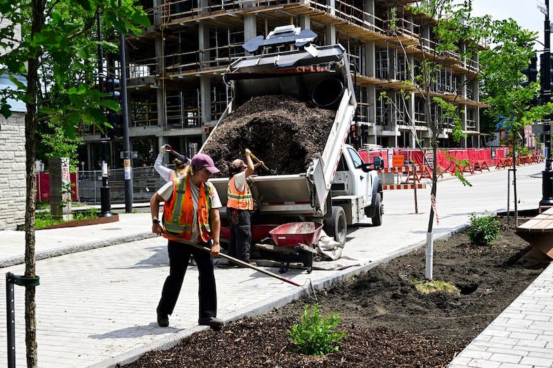 Au total, 21 943 arbres ont été plantés depuis 2021, indique la municipalité dans un bilan présenté jeudi, soit 73% de son objectif.|800x533.1999999999999