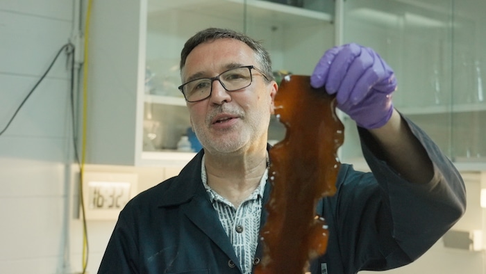 Éric Tamigneaux tient une algue.