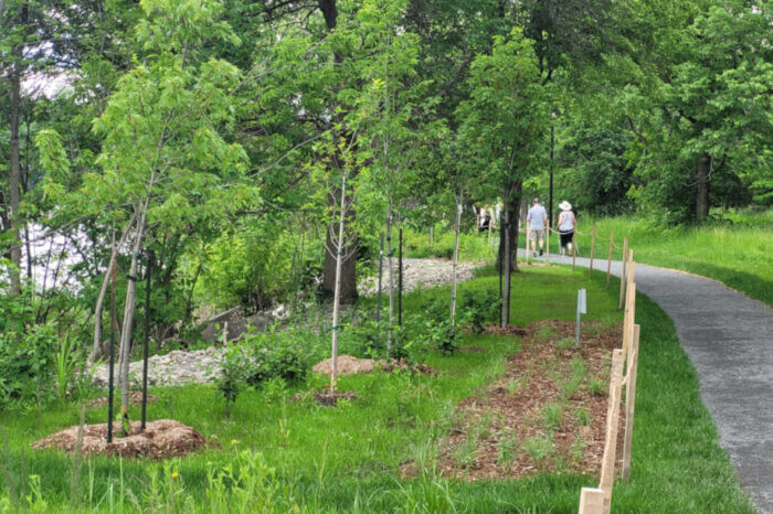 Plusieurs aménagements ont été faits entre le sentier et les berges (Emmanuel Delacour/EMM)