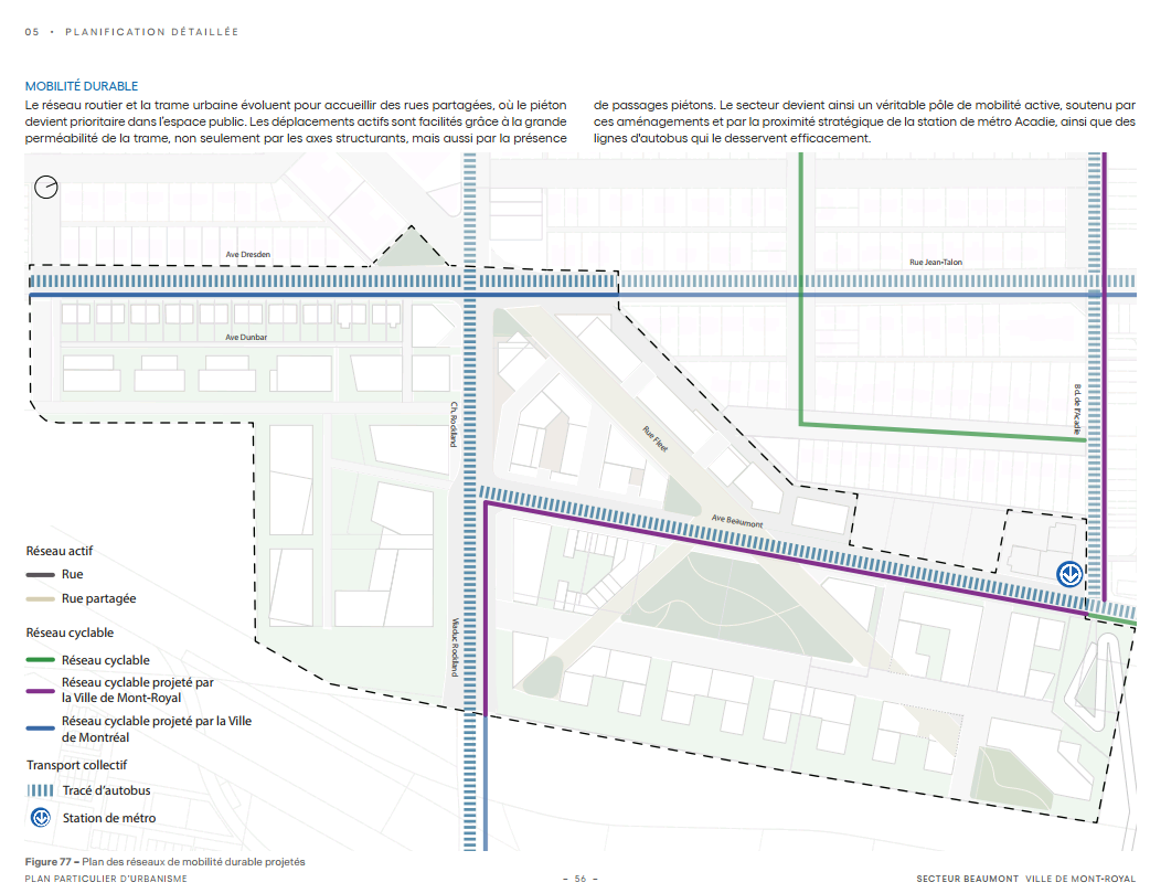 snapshot-260222004615