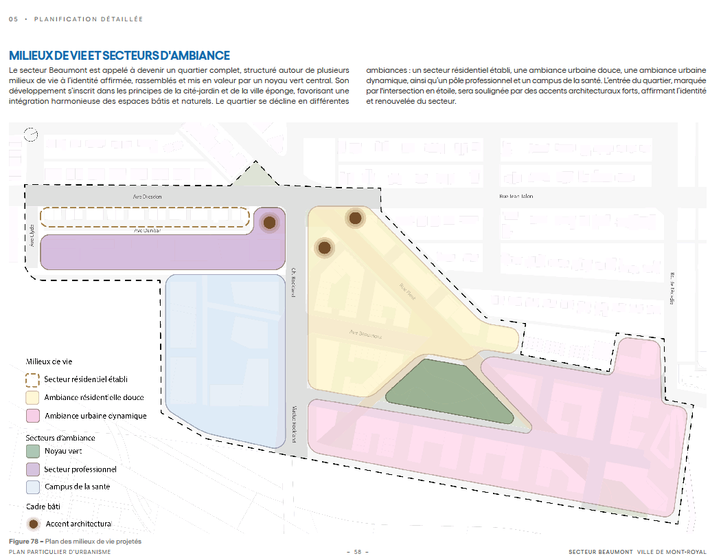 snapshot-260222004836