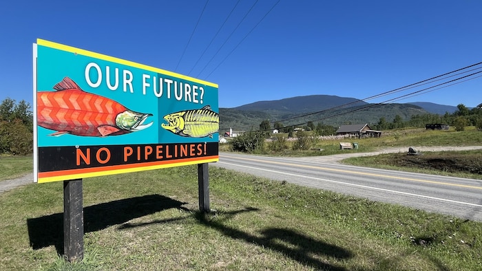 Un panneau avec un dessin d'un saumon en santé et d'un autre malade, avec la mention « pas de pipeline » en dessous.